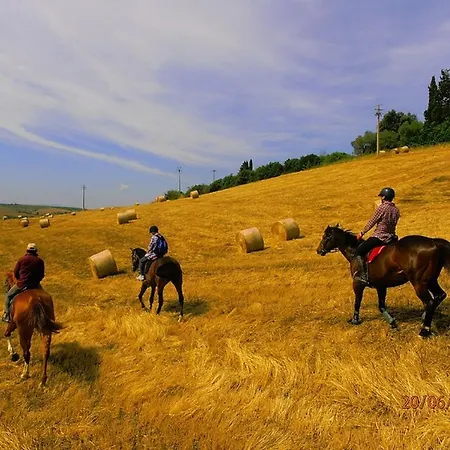 Alloggio per agriturismo Le Piazze *