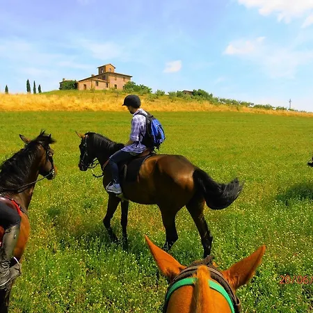 Le Piazze * Siena