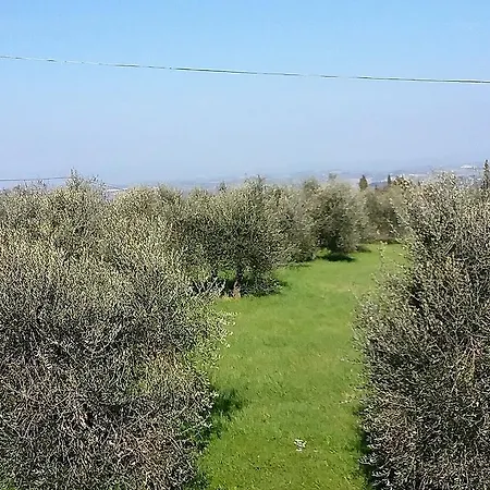 Le Piazze Vakantieboerderij