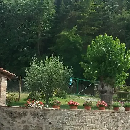 Le Piazze Сієна