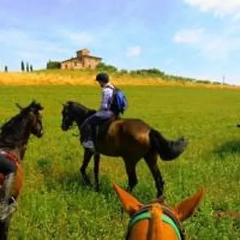 Alloggio per agriturismo Le Piazze