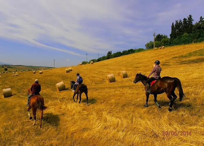 Alloggio per agriturismo Le Piazze *