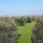 Le Piazze Farm stay